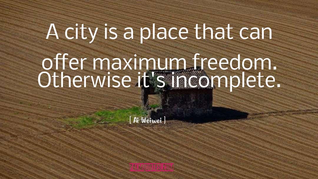 Suketu Mehta Maximum City quotes by Ai Weiwei