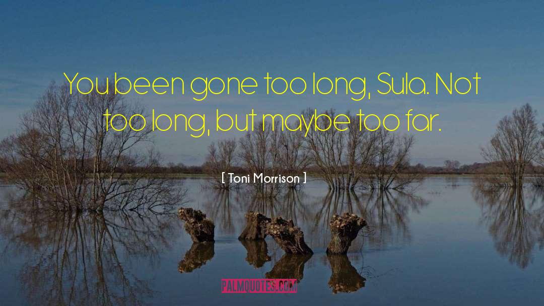 Sula quotes by Toni Morrison