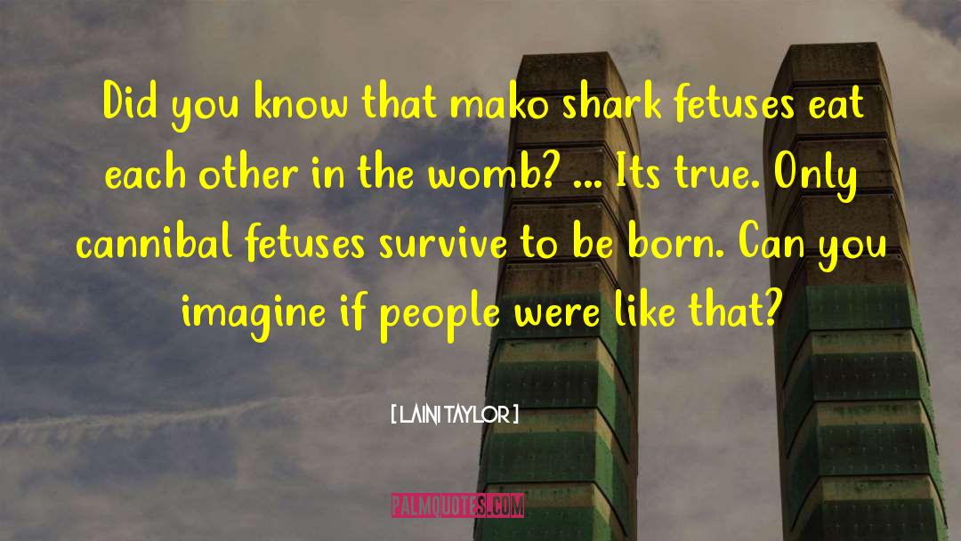 Sulikowski Shark quotes by Laini Taylor