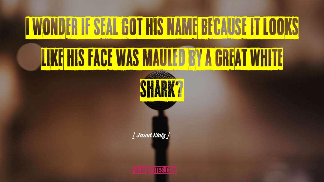 Sulikowski Shark quotes by Jarod Kintz