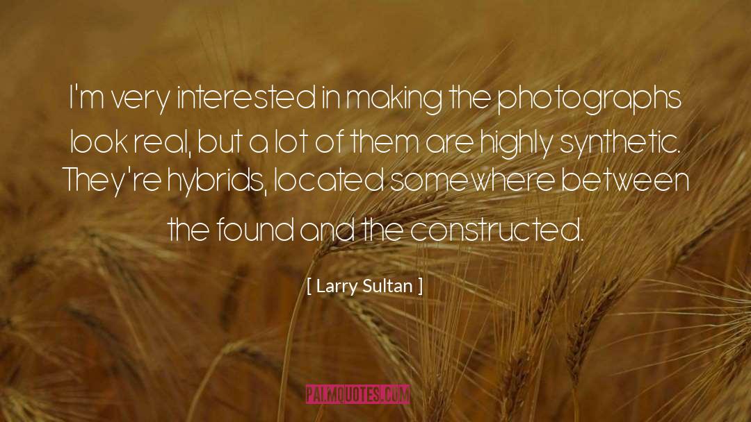 Sultan quotes by Larry Sultan