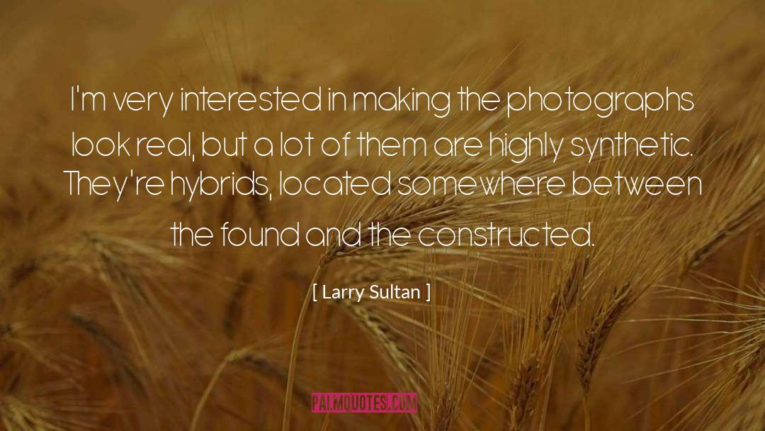 Sultan Saladin quotes by Larry Sultan