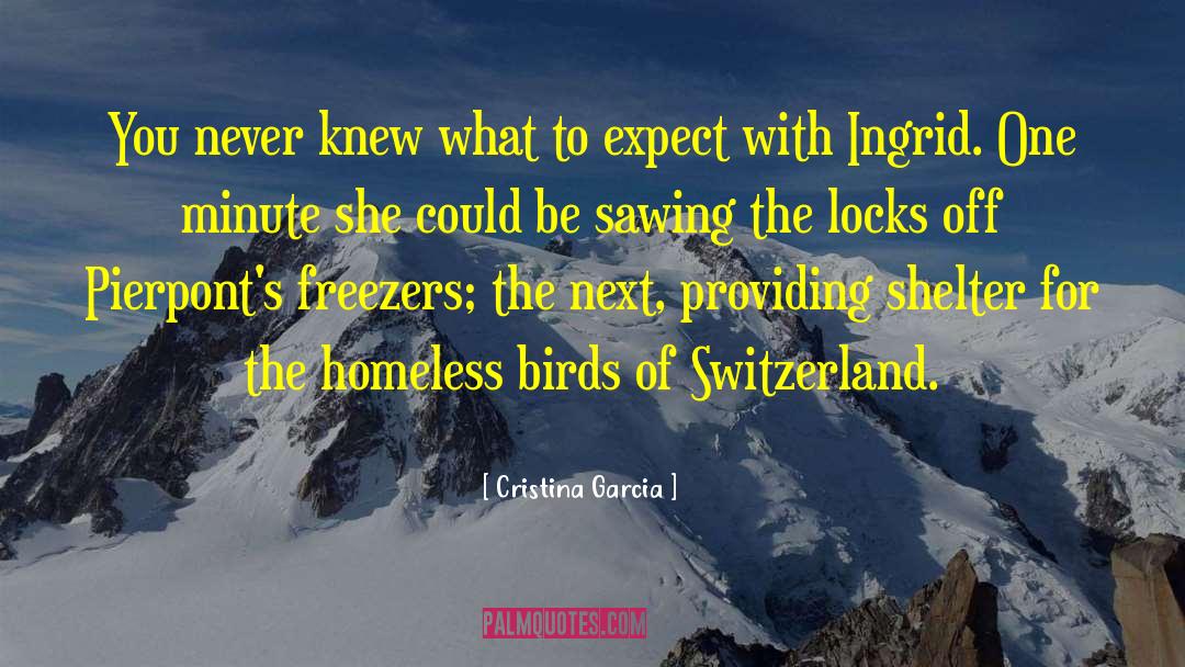 Sulzbacher Homeless Shelter quotes by Cristina Garcia