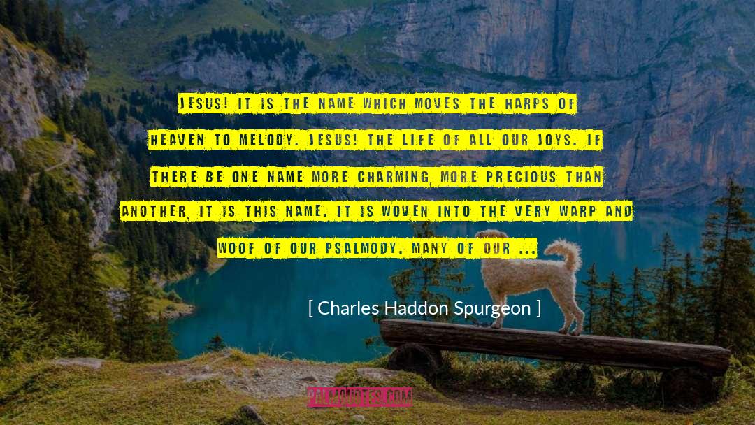Sum Total Of Our Lives quotes by Charles Haddon Spurgeon