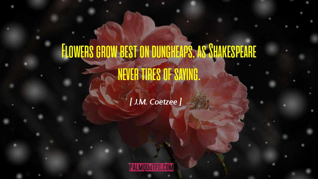 Sumerel Tires quotes by J.M. Coetzee