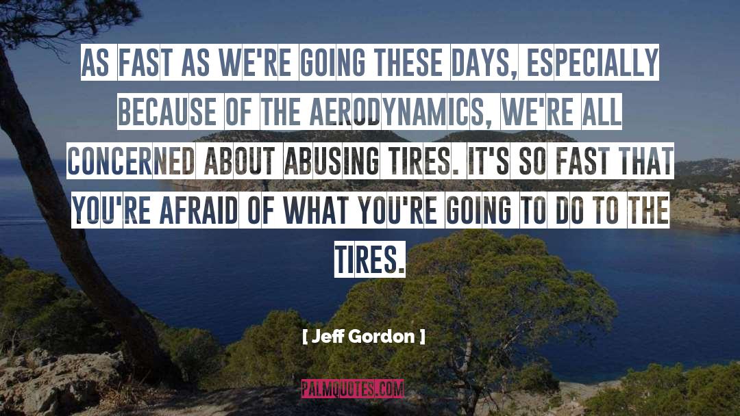 Sumerel Tires quotes by Jeff Gordon