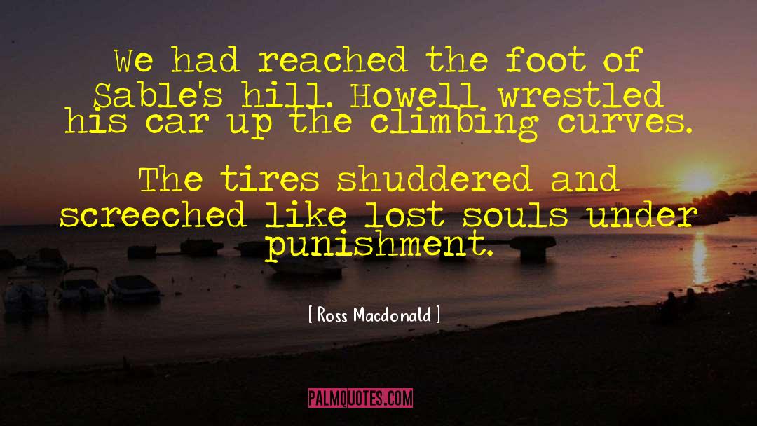 Sumerel Tires quotes by Ross Macdonald