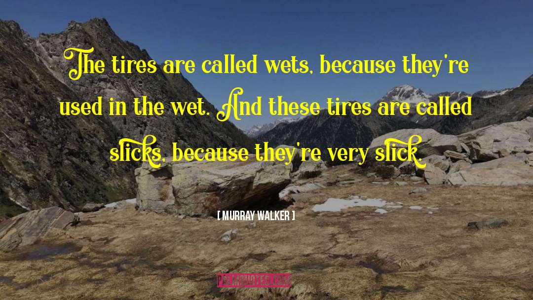 Sumerel Tires quotes by Murray Walker
