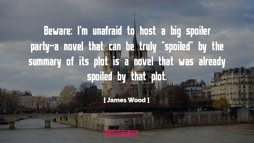 Summary quotes by James Wood