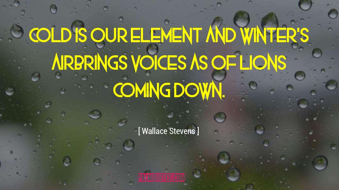 Summer And Winter quotes by Wallace Stevens