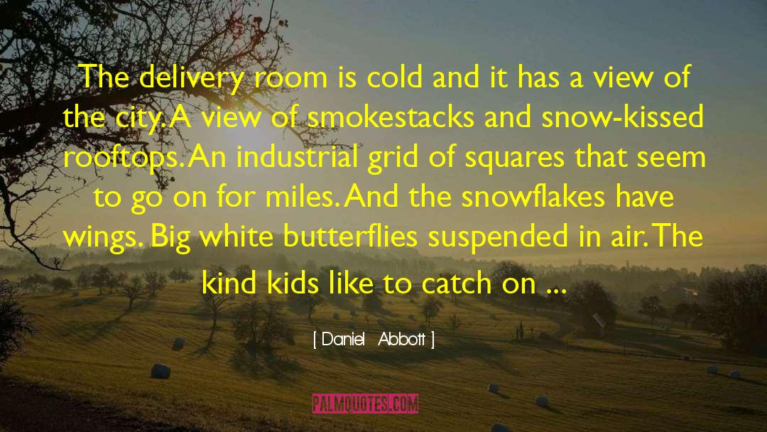Summer And Winter quotes by Daniel  Abbott