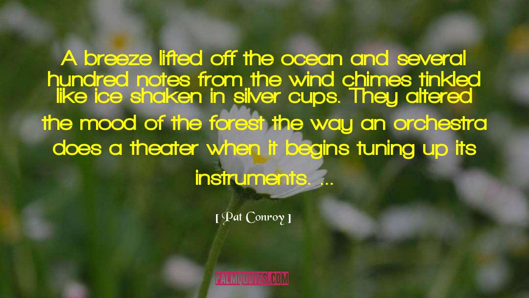 Summer Breeze quotes by Pat Conroy