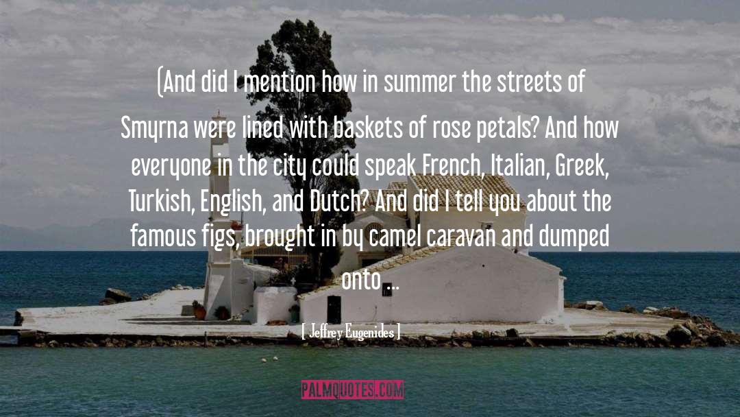 Summer City quotes by Jeffrey Eugenides