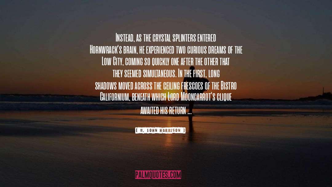 Summer City quotes by M. John Harrison