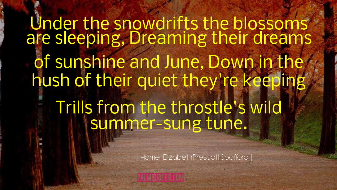 Summer Dream quotes by Harriet Elizabeth Prescott Spofford