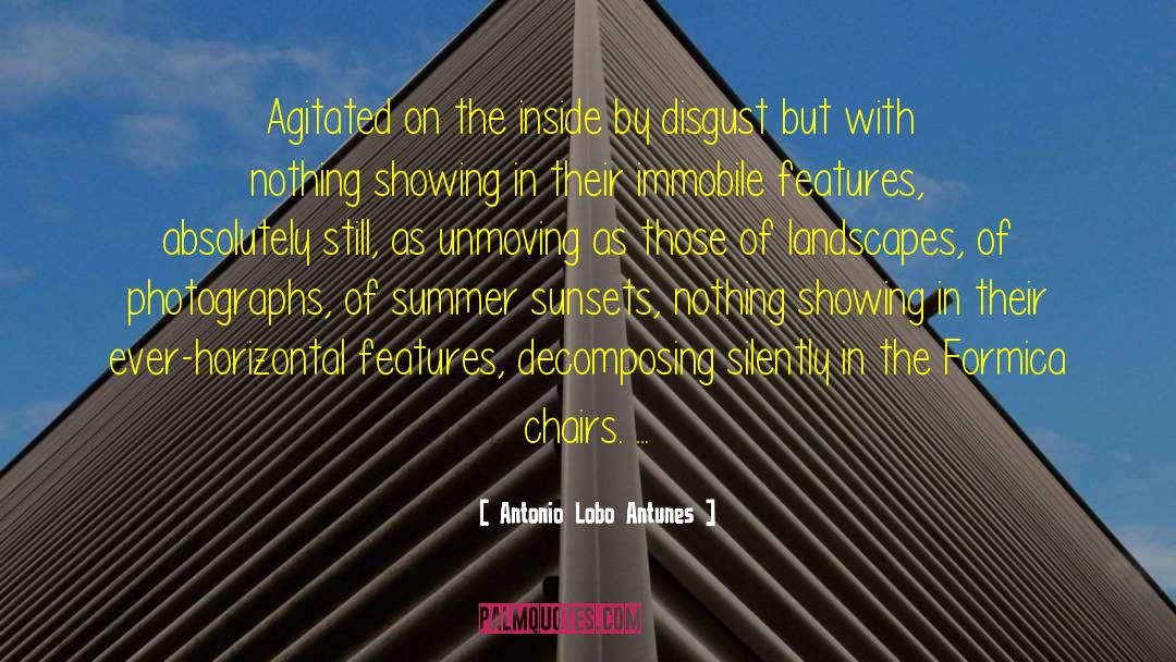 Summer Evening quotes by Antonio Lobo Antunes
