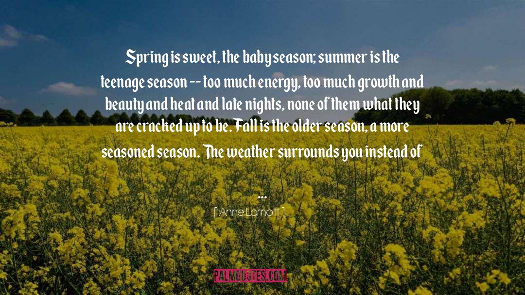 Summer Fling quotes by Anne Lamott