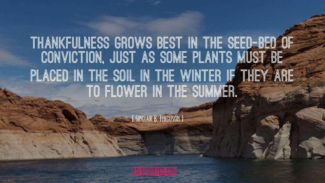 Summer Flower quotes by Sinclair B. Ferguson