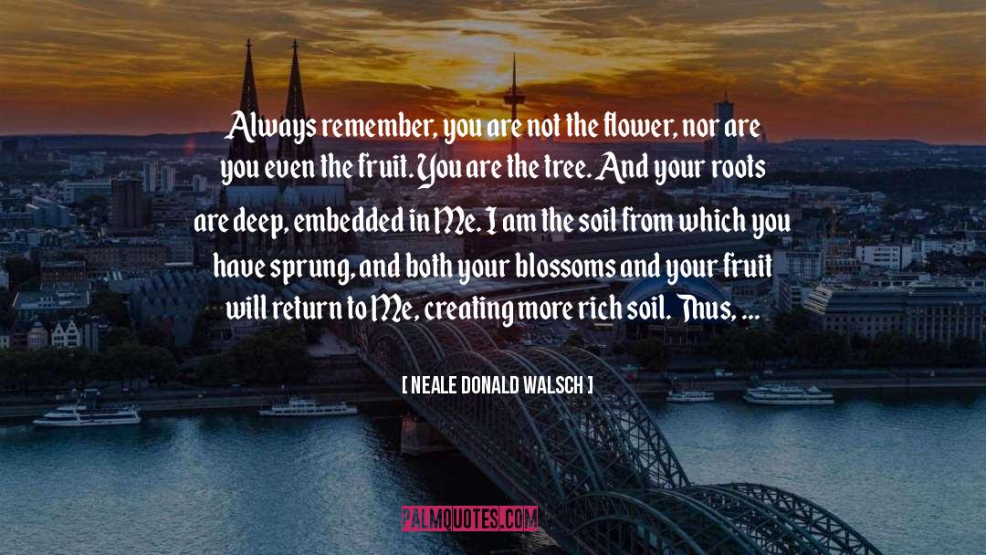 Summer Flower quotes by Neale Donald Walsch