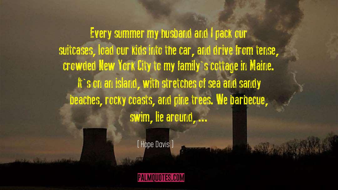 Summer Holiday With Family quotes by Hope Davis