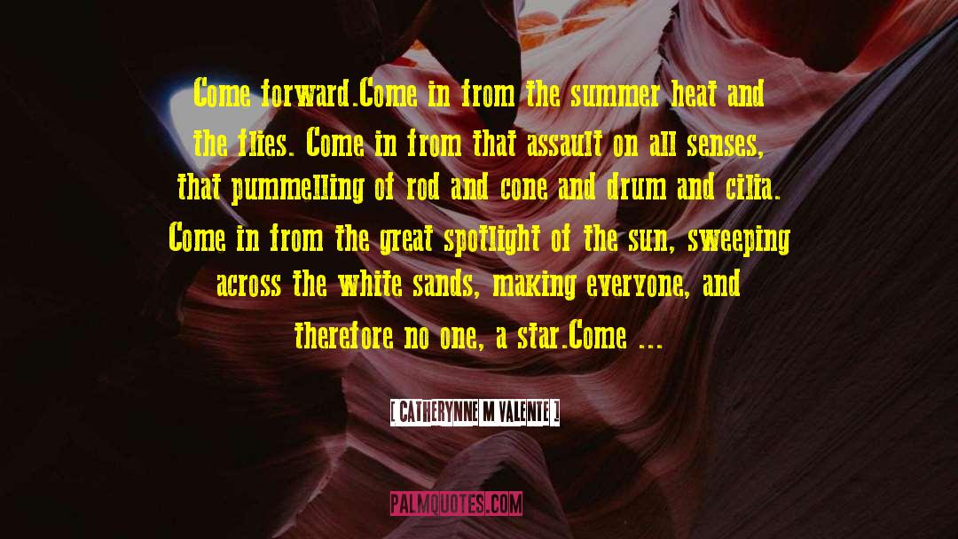 Summer Holidays quotes by Catherynne M Valente