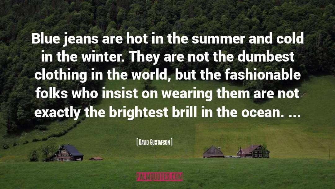 Summer Islanders quotes by David Gustafson