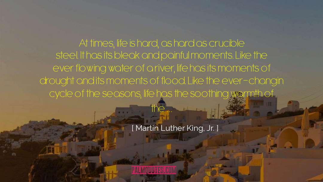 Summer Islanders quotes by Martin Luther King, Jr.