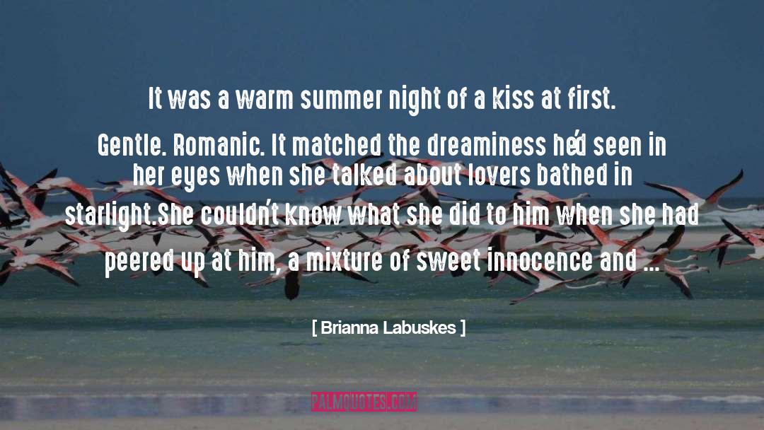 Summer Night quotes by Brianna Labuskes