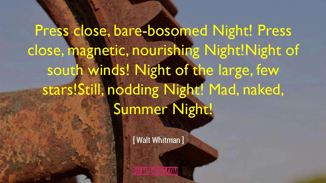 Summer Night quotes by Walt Whitman