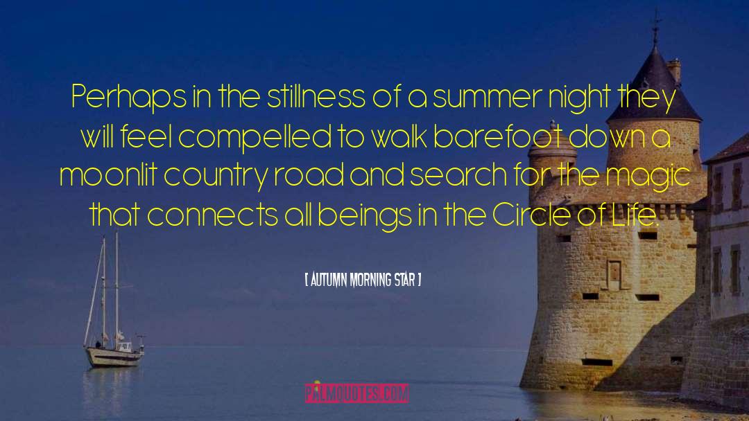 Summer Night quotes by Autumn Morning Star
