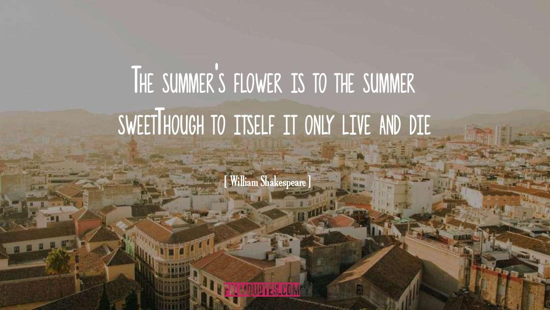 Summer Nights quotes by William Shakespeare