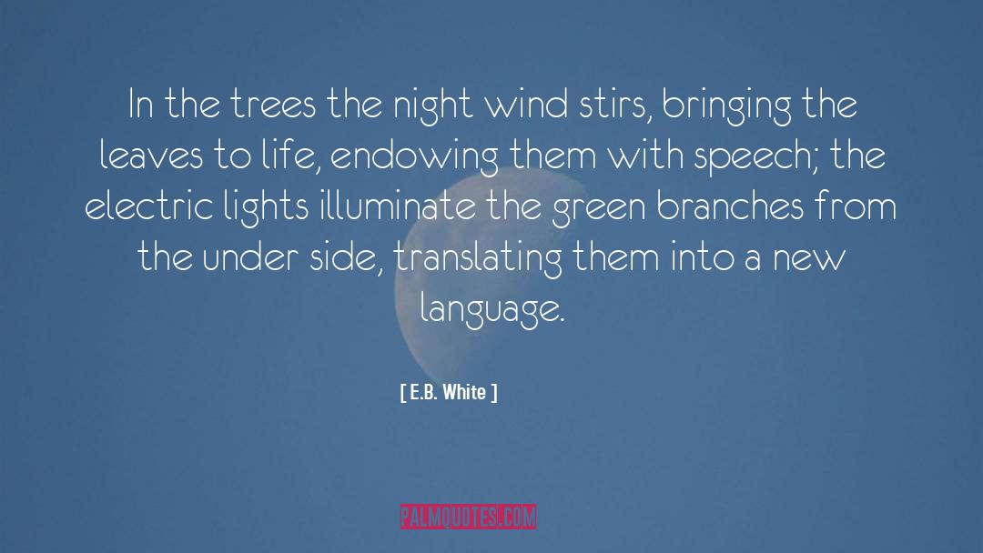 Summer Nights quotes by E.B. White