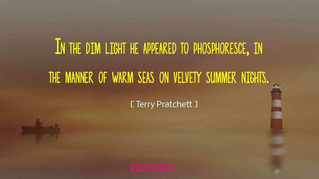 Summer Nights quotes by Terry Pratchett