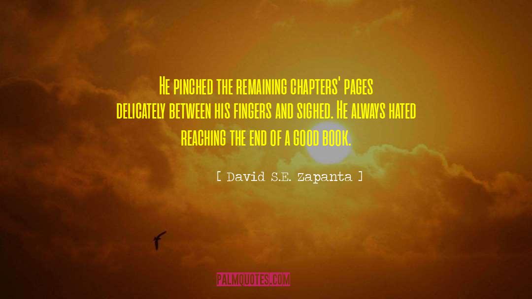 Summer S End quotes by David S.E. Zapanta