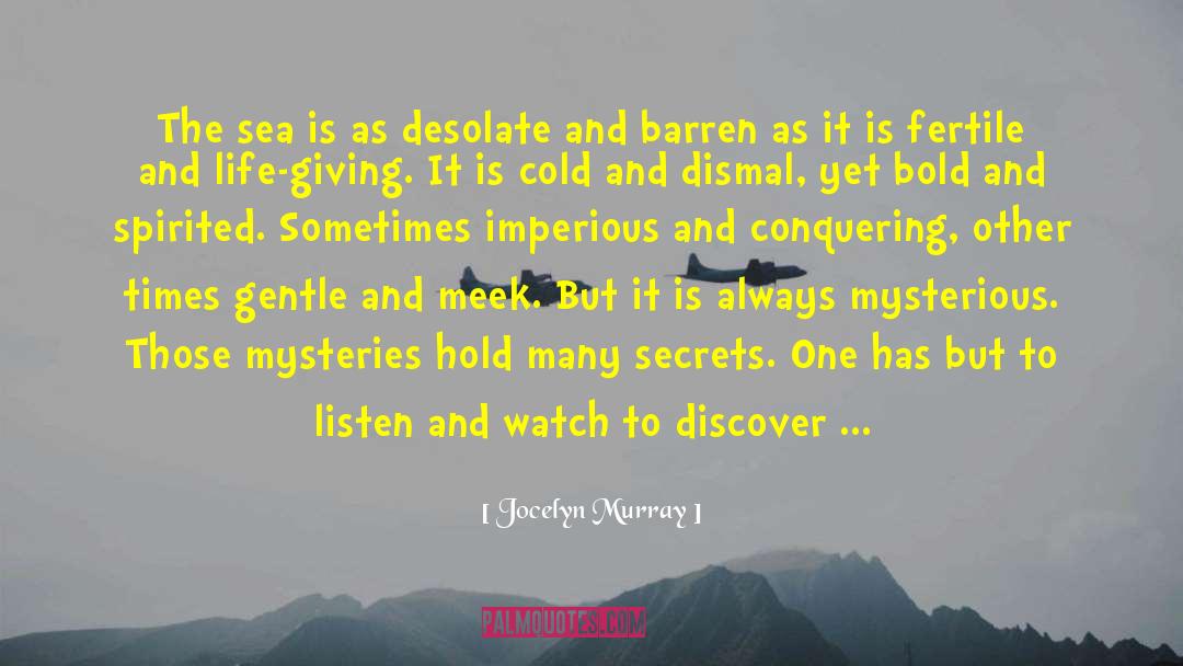 Summer Secrets quotes by Jocelyn Murray