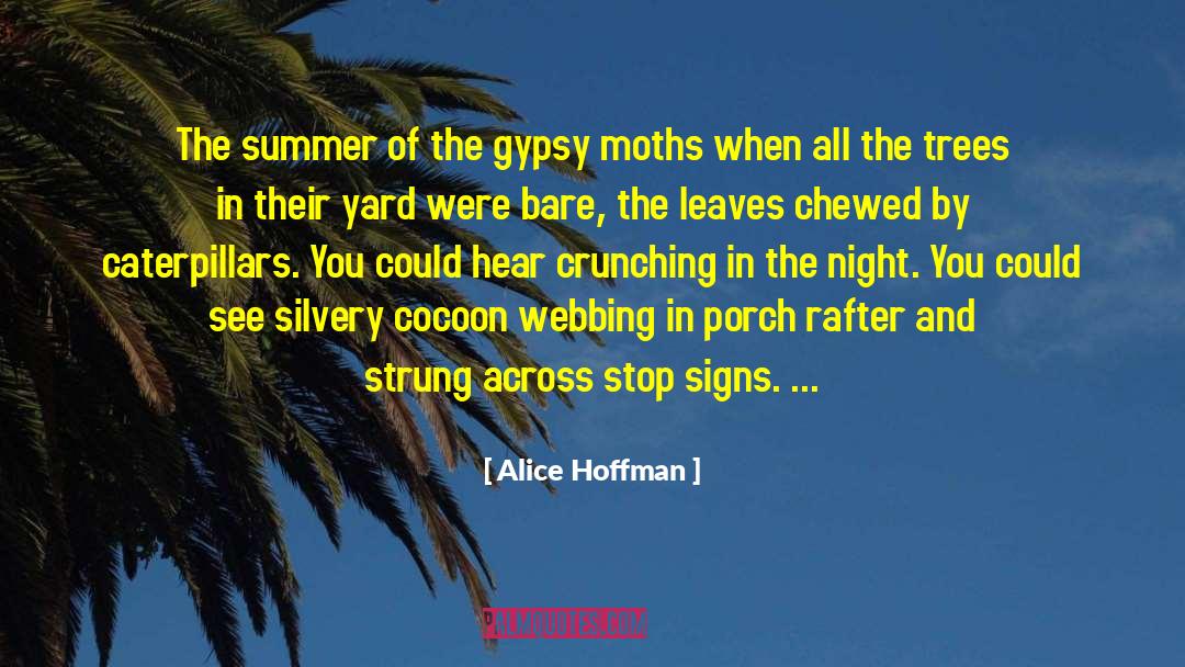 Summer Stroll quotes by Alice Hoffman