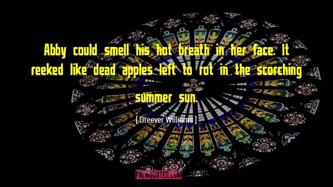 Summer Sun quotes by Greever Williams