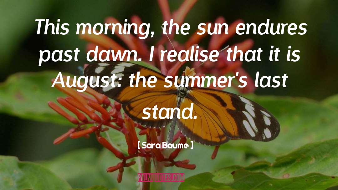 Summer Sun quotes by Sara Baume