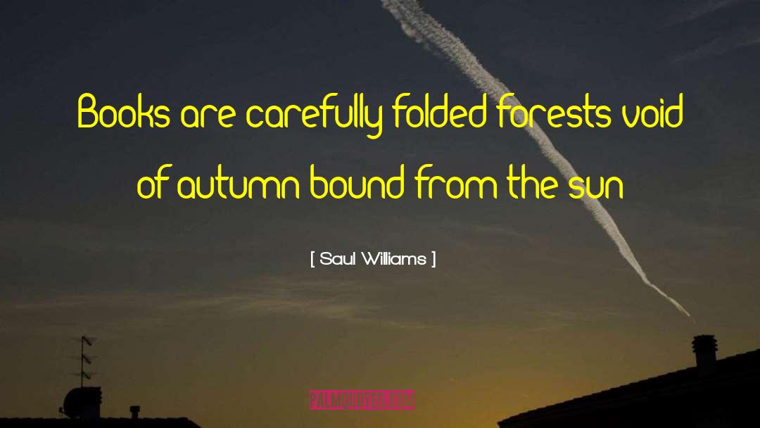 Summer Sun quotes by Saul Williams