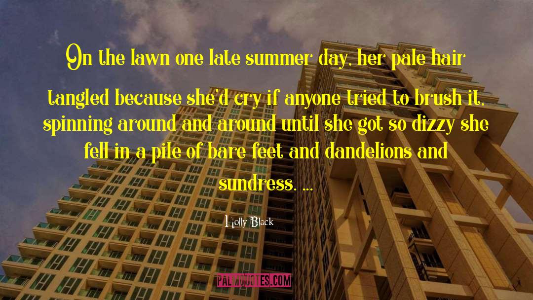 Summer Sun quotes by Holly Black