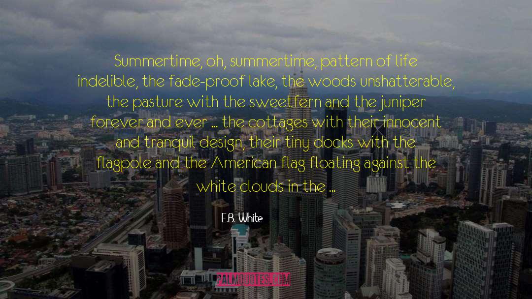 Summertime quotes by E.B. White