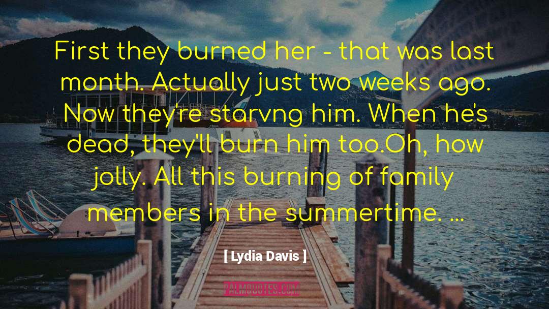 Summertime quotes by Lydia Davis