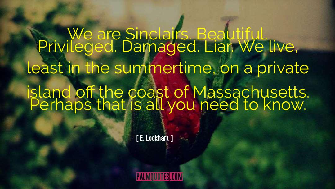 Summertime quotes by E. Lockhart