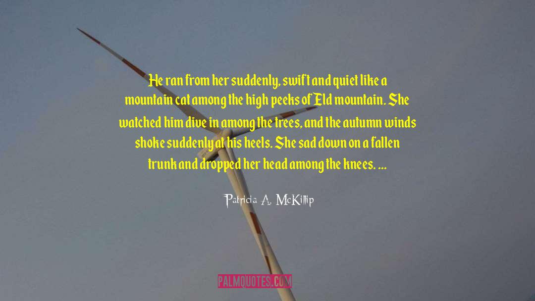 Summiting A Mountain quotes by Patricia A. McKillip