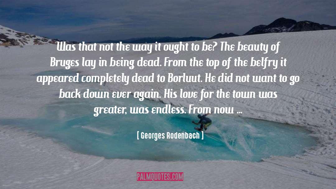 Summits quotes by Georges Rodenbach