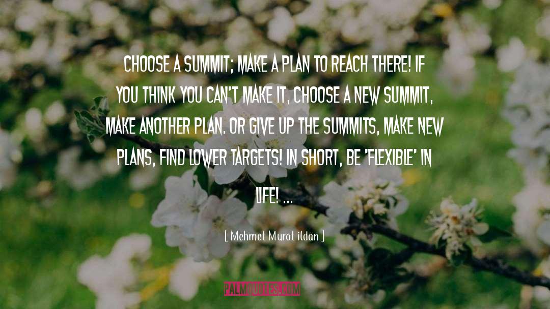 Summits quotes by Mehmet Murat Ildan