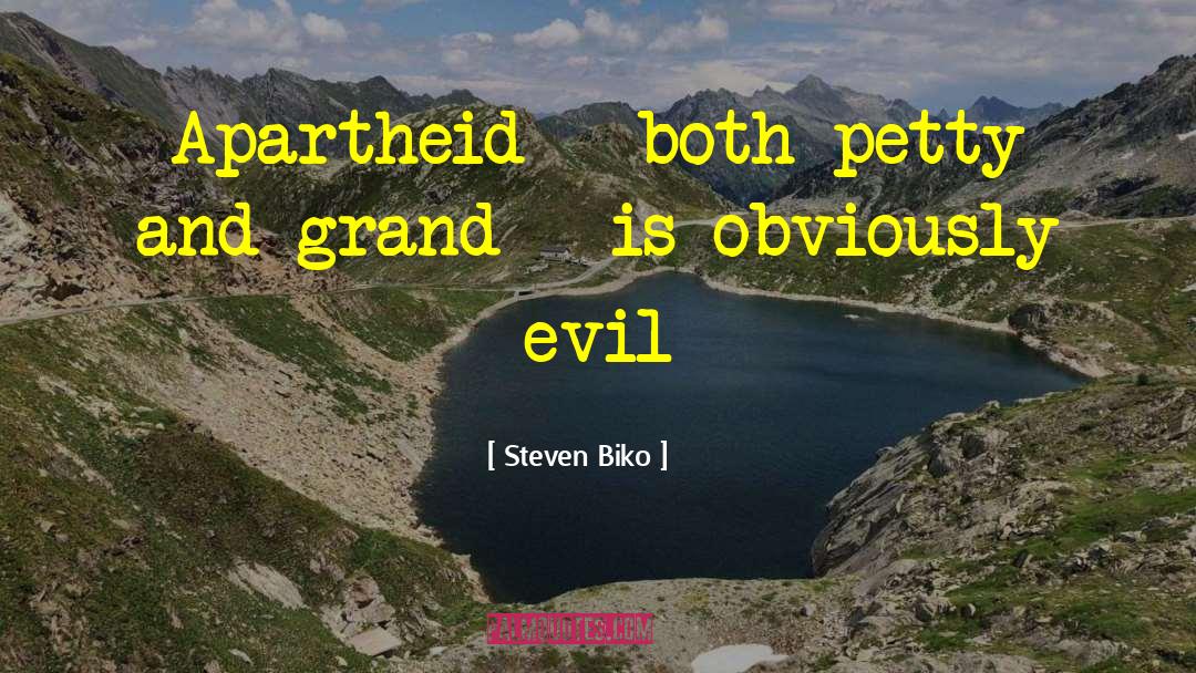 Summon Evil quotes by Steven Biko