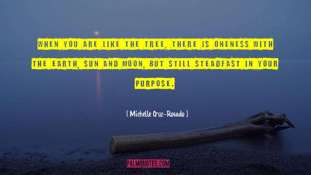 Sun And Moon quotes by Michelle Cruz-Rosado