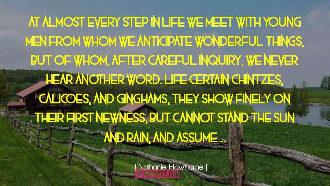 Sun And Rain quotes by Nathaniel Hawthorne