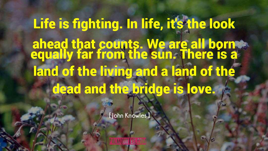 Sun And Stars quotes by John Knowles